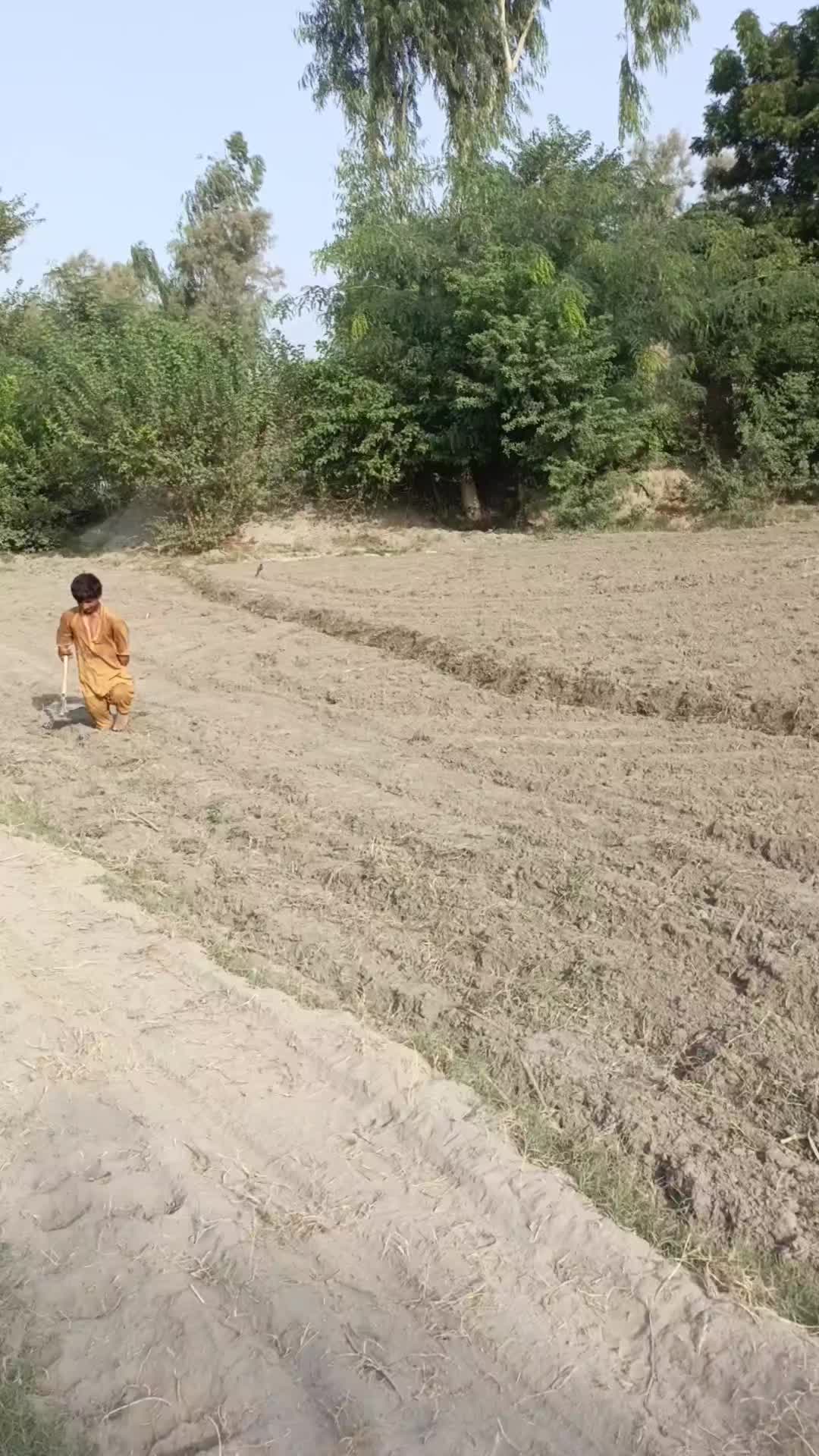 @گُڈو بادشاہ