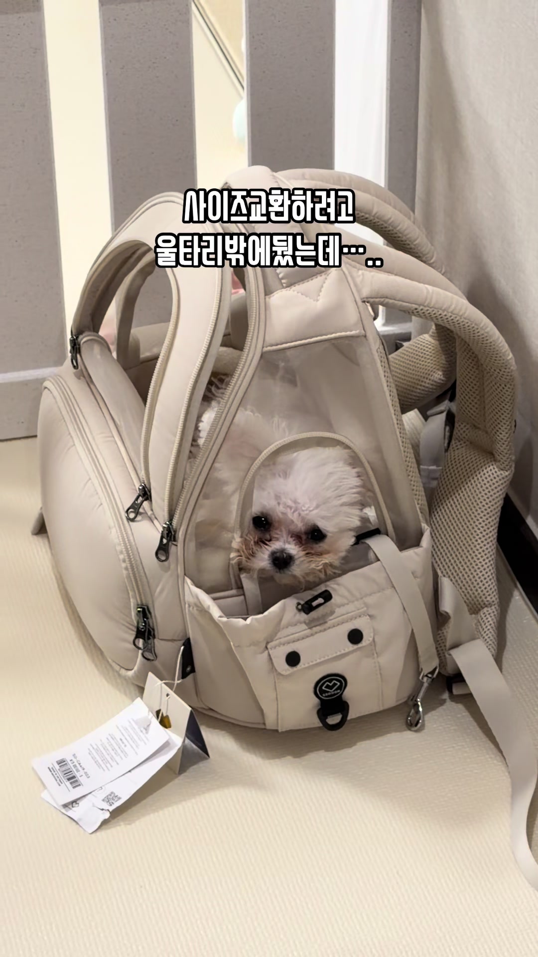 @jeju_kiki