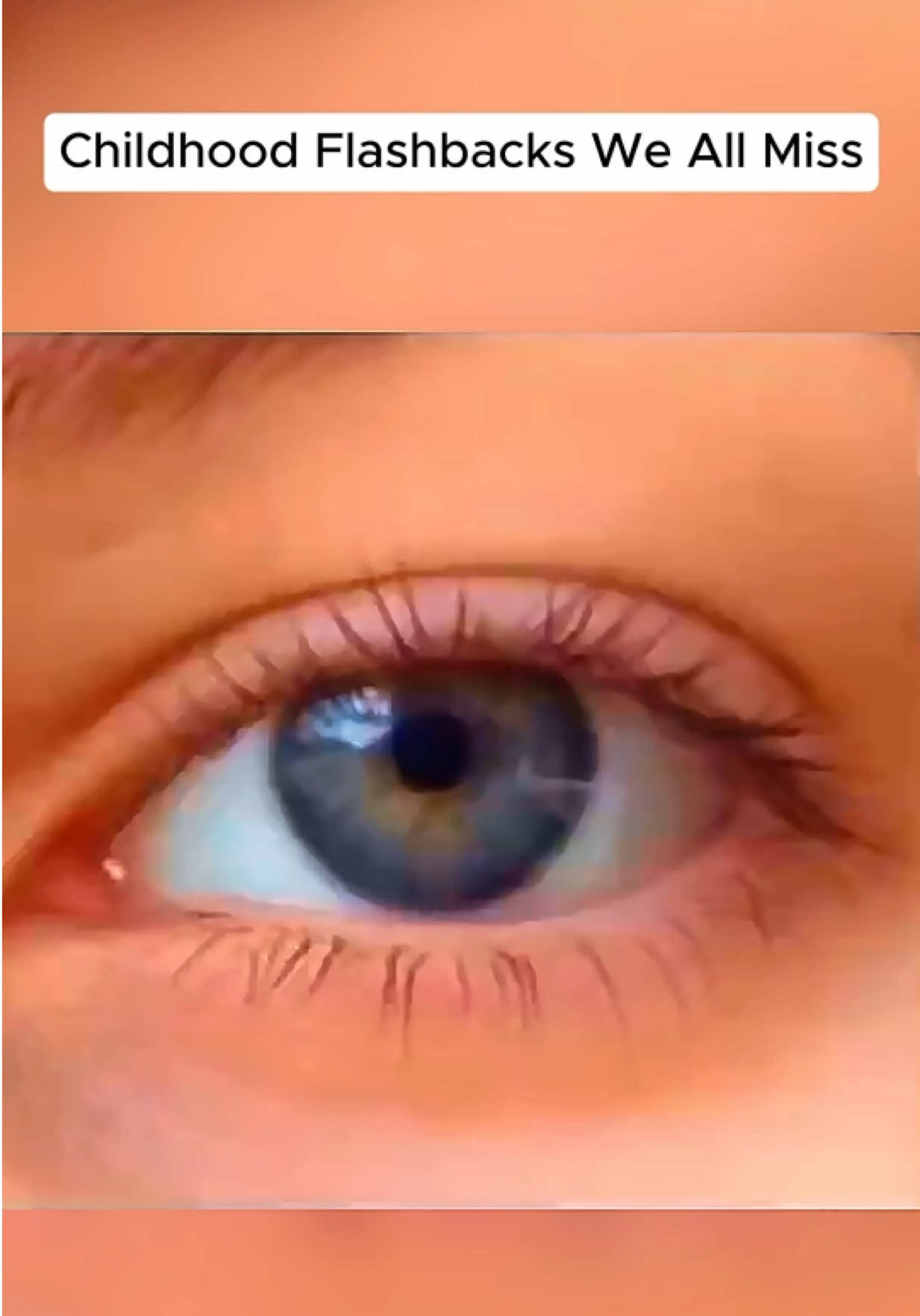 @NicheNovaNostalgia