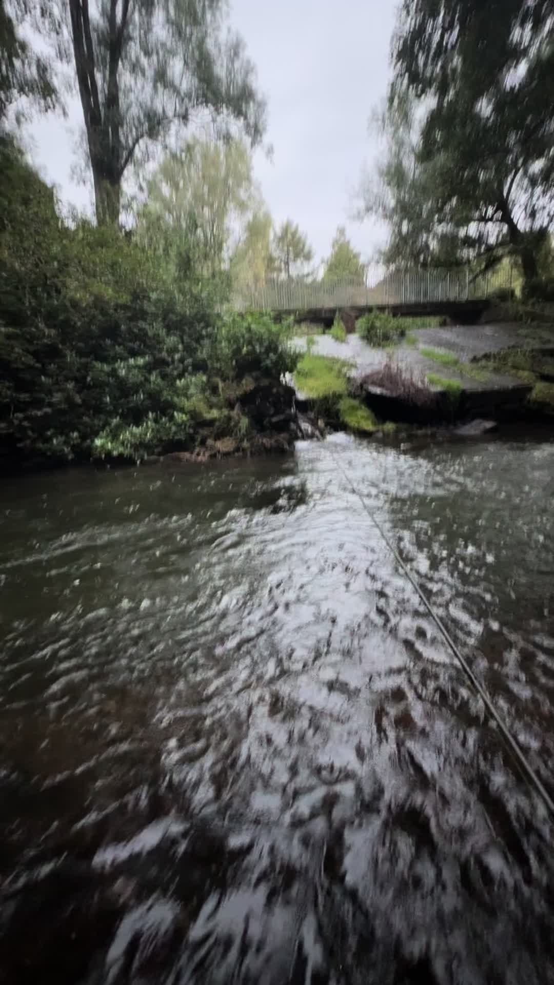 @Alba Trout 🏴
