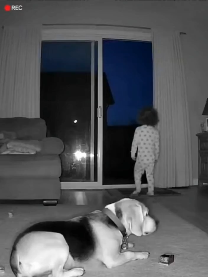 @MIDNIGHT_CCTV13