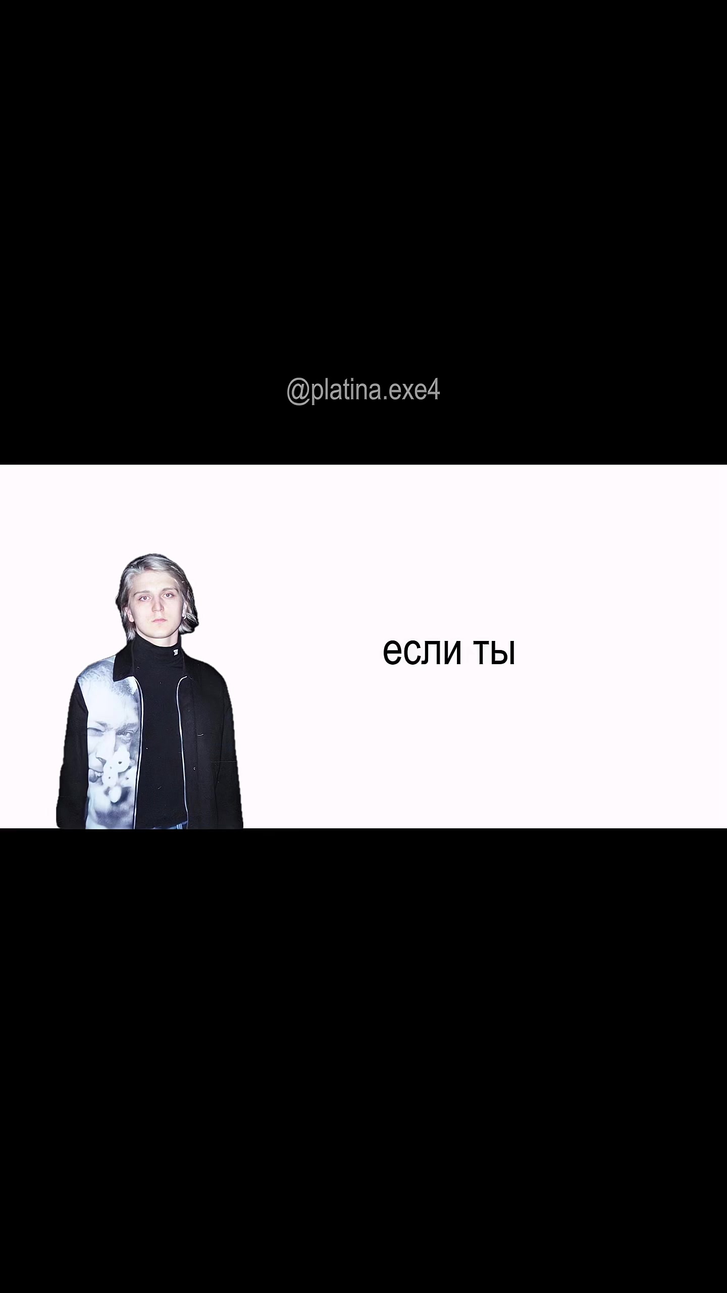 @platina.exe