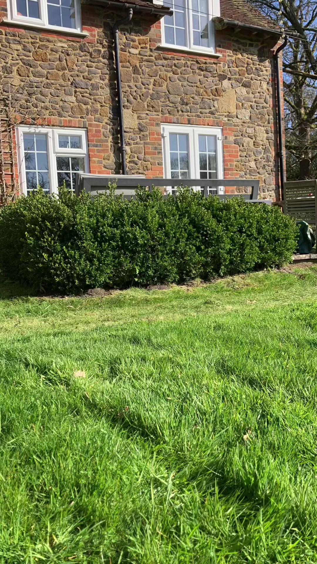 @All The Small Plants