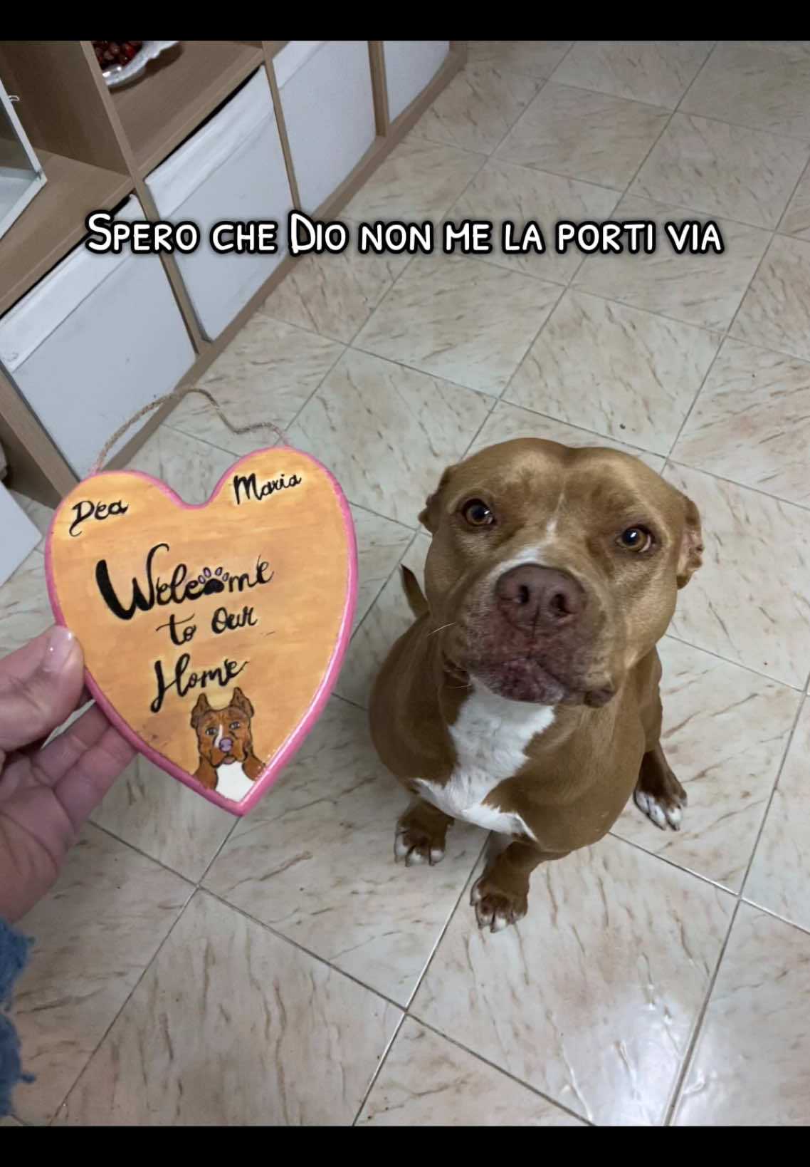 @Dea 🐾