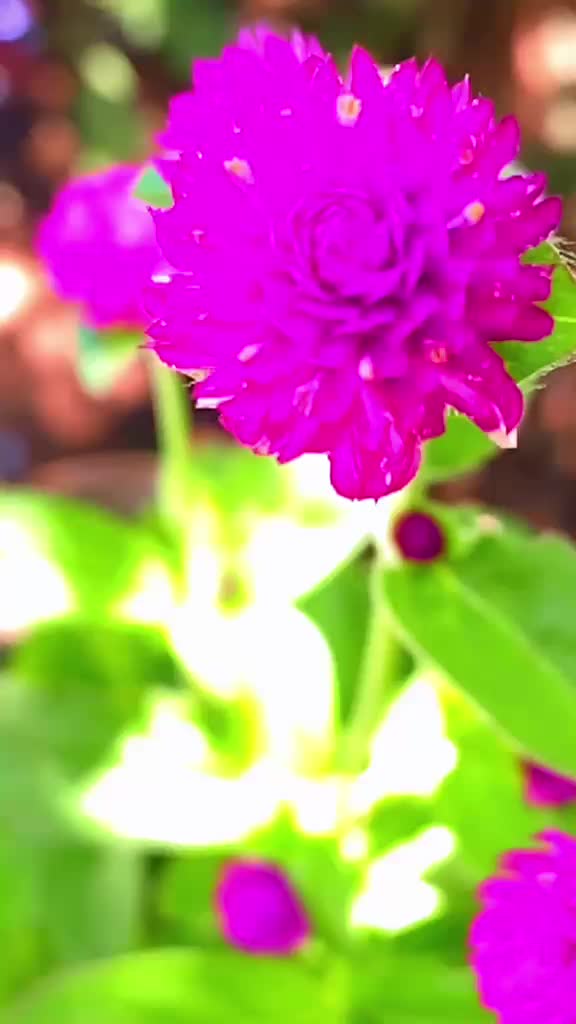 @قرآن كريم