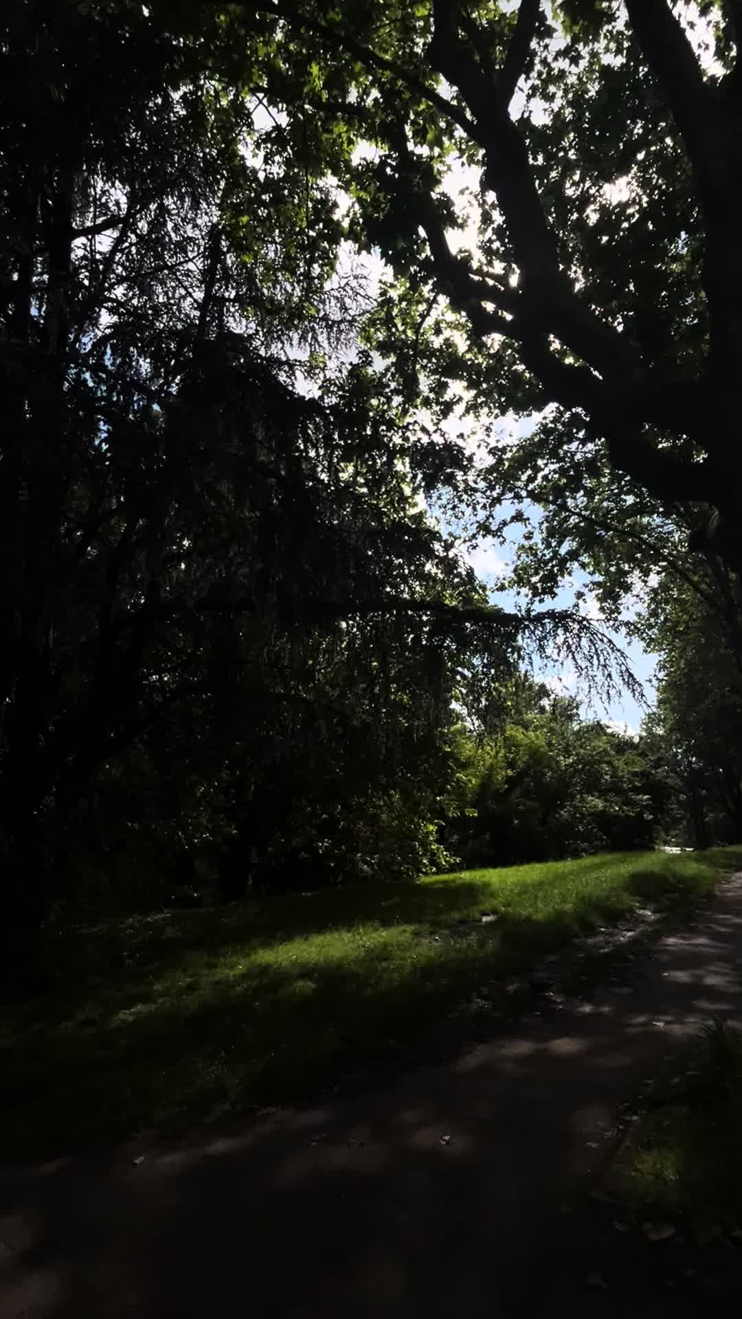 @𝒮𝓌𝒶𝓃🦢