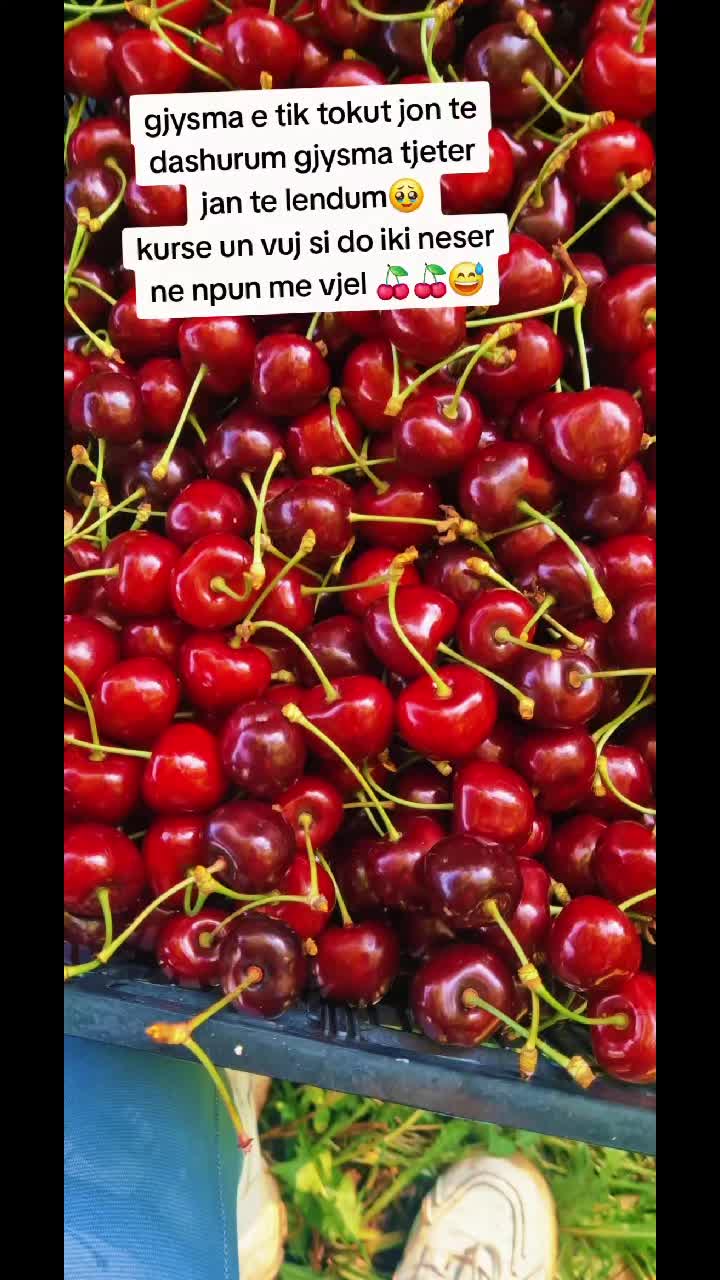 @Gena Qershia37🍒🍒