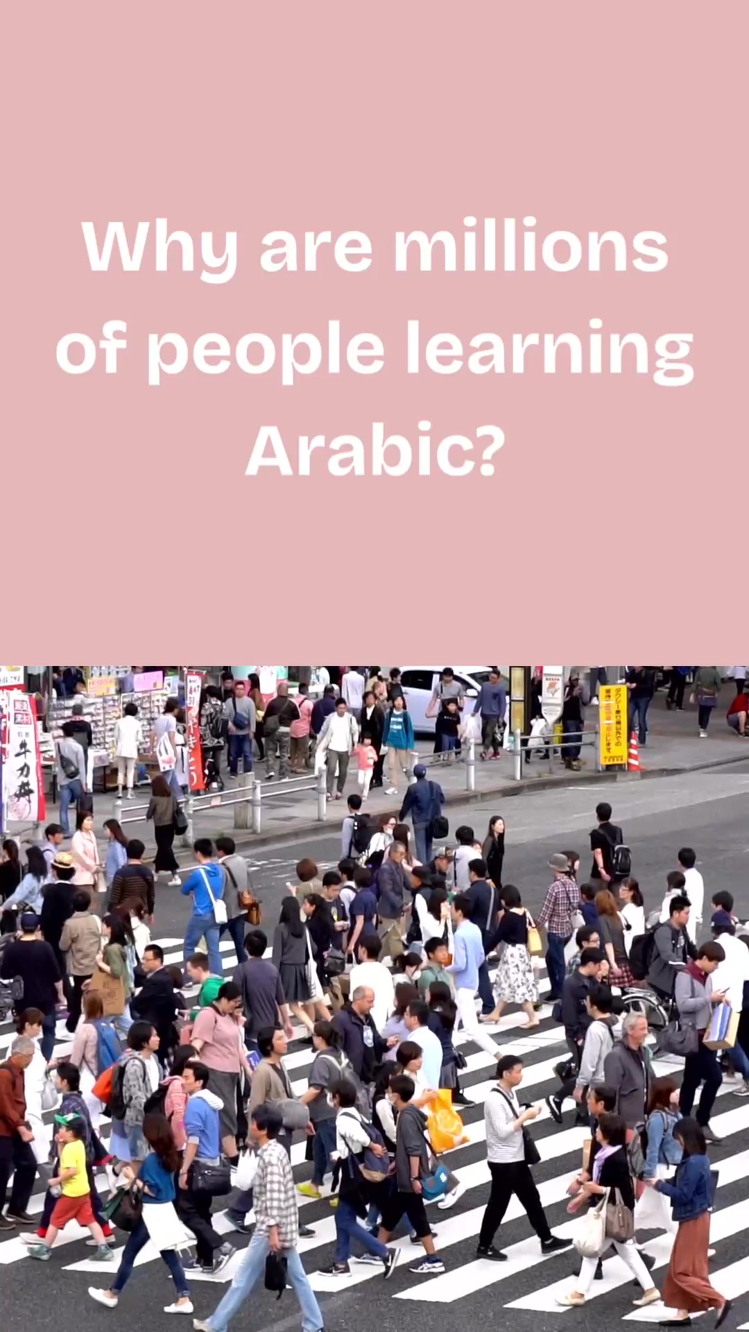 @The Safeer Arabic School