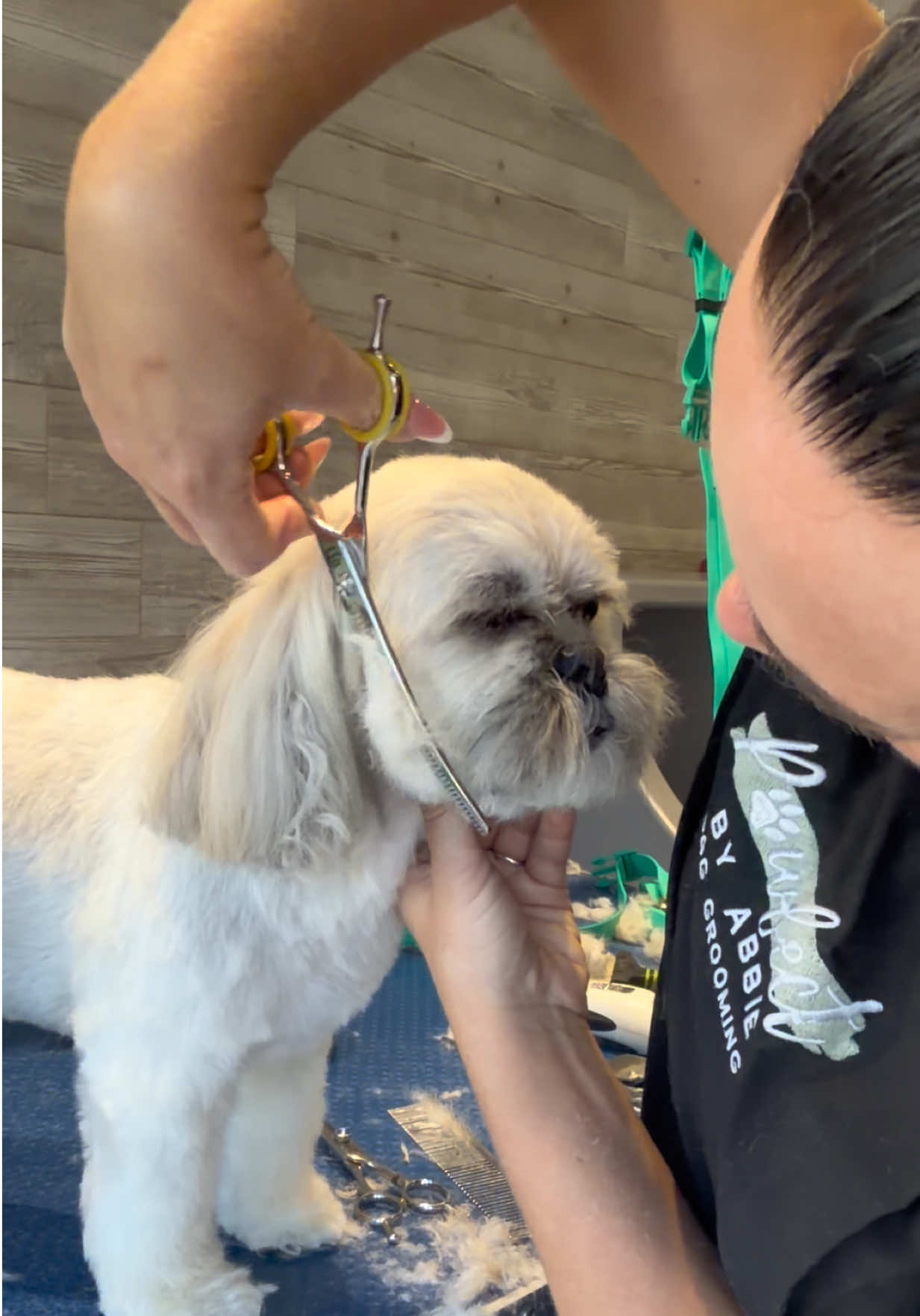 @Pawfect By Abbie