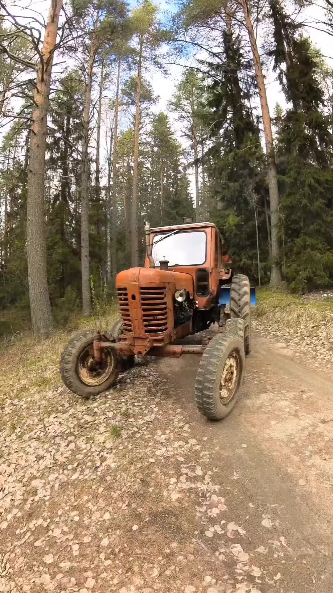 @ForestAndWheels