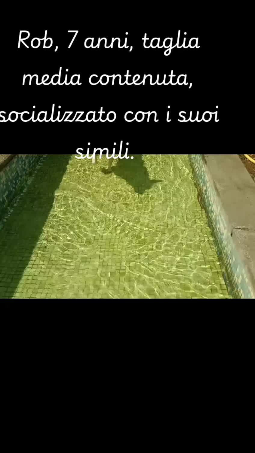@code felici