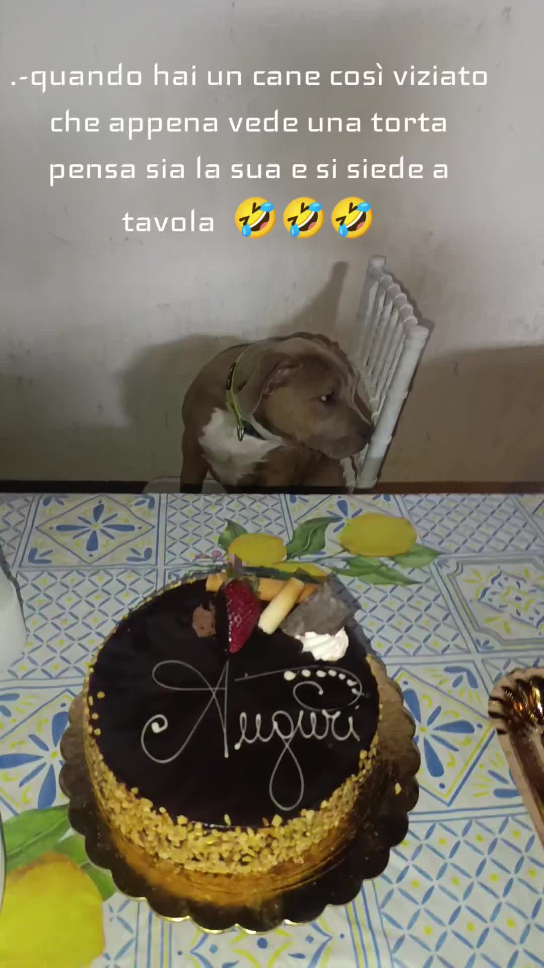 @Maddalena