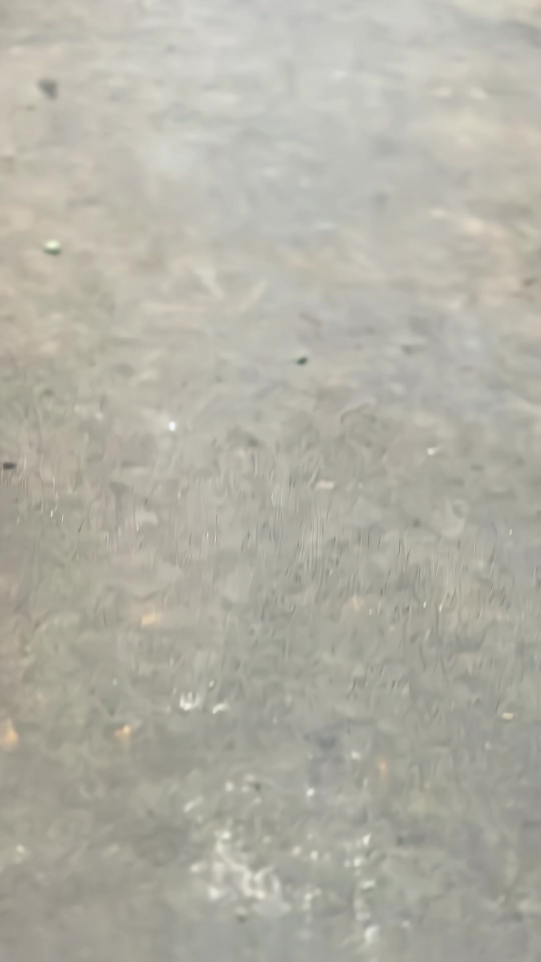 @grobagsayur.co