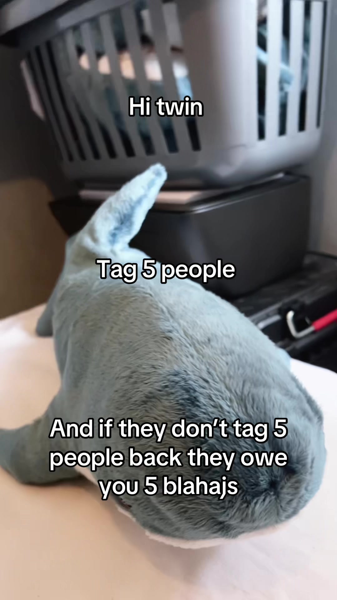 @Blahaj