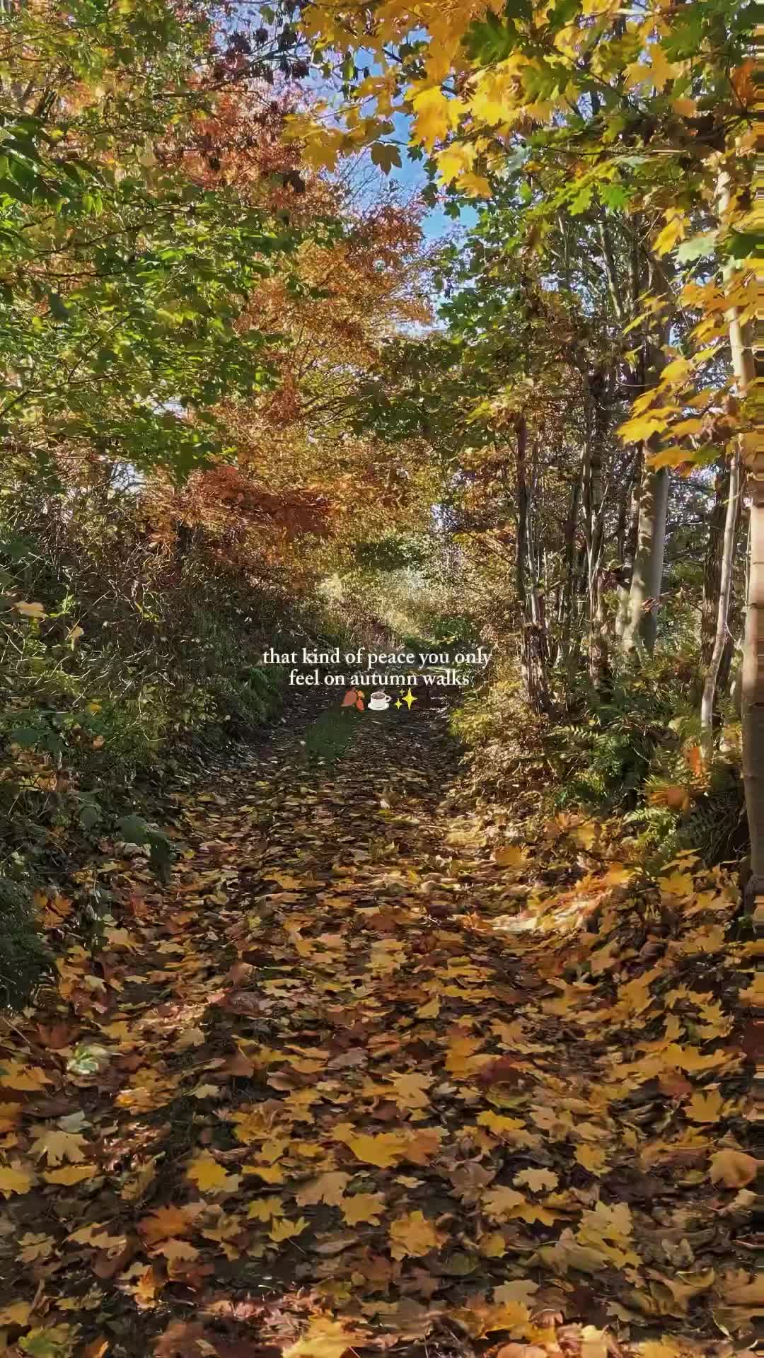 @anni 🌧️