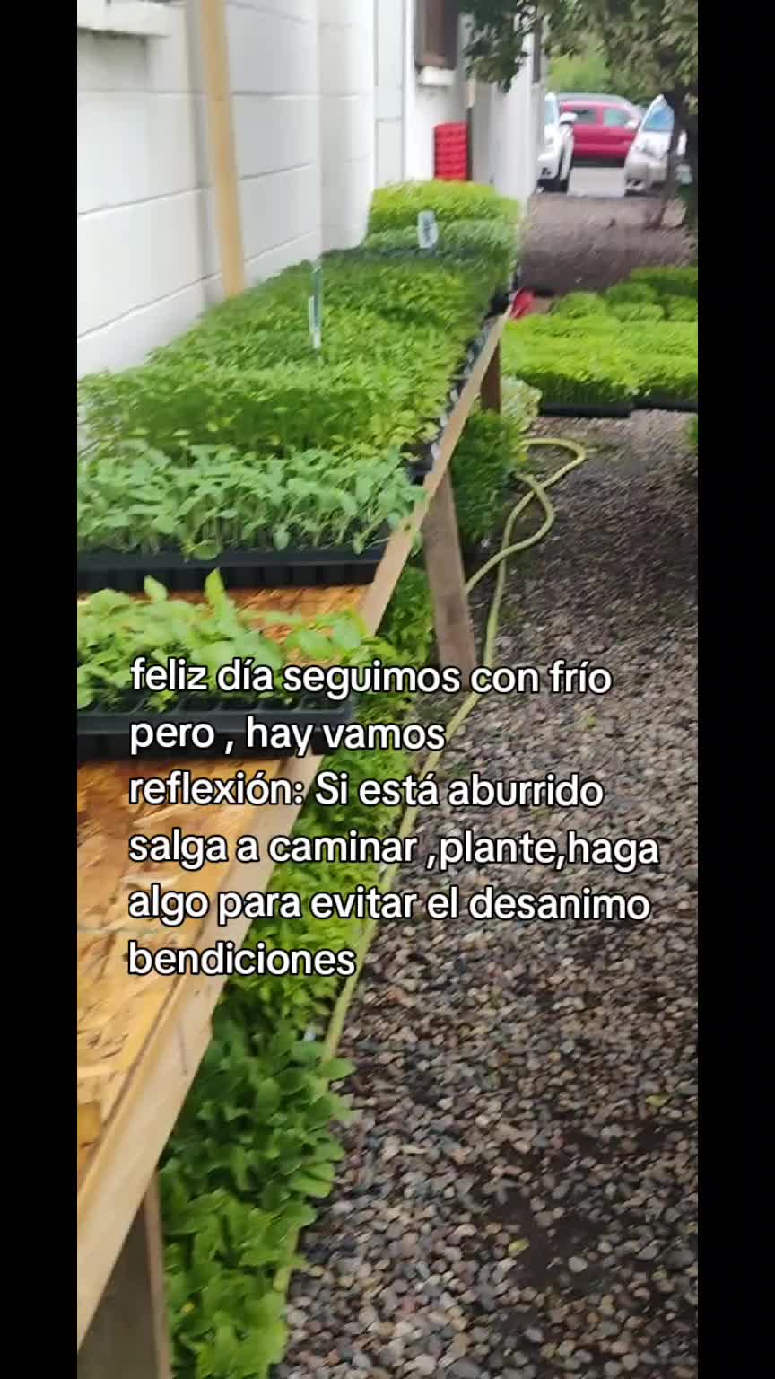 @martita