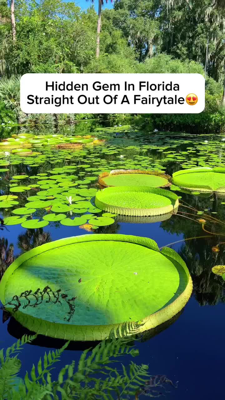 @thefloridaqueenie