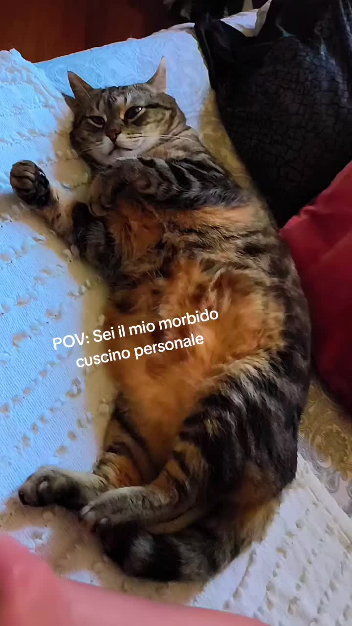 @Claudeth913