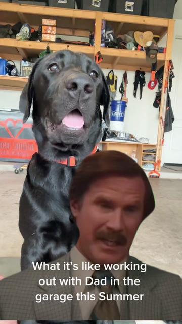 @TheadventuresofBronx&Boone