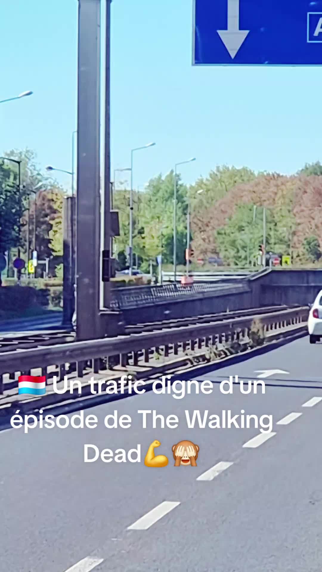 @Gra🙃ça🇱🇺 countrylife