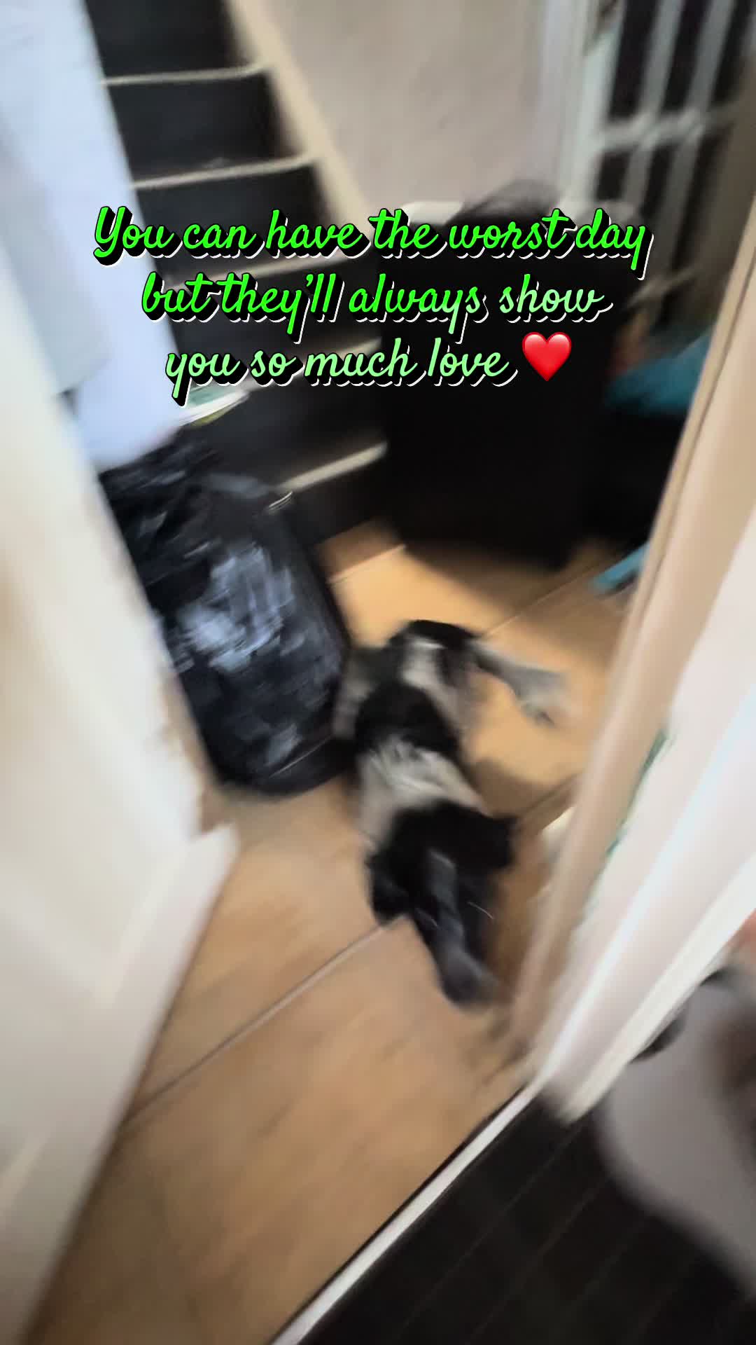 @Kirst_and_Will