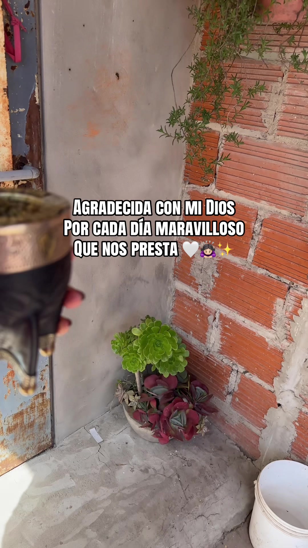 @Alicia Avellaneda