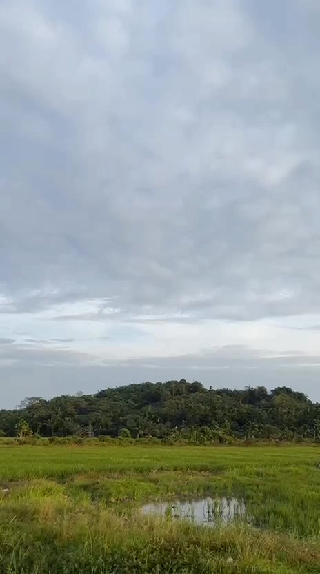 @CB nenot