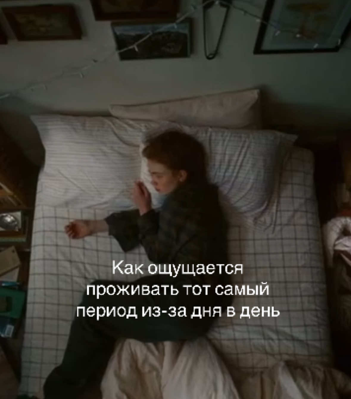 @kitty