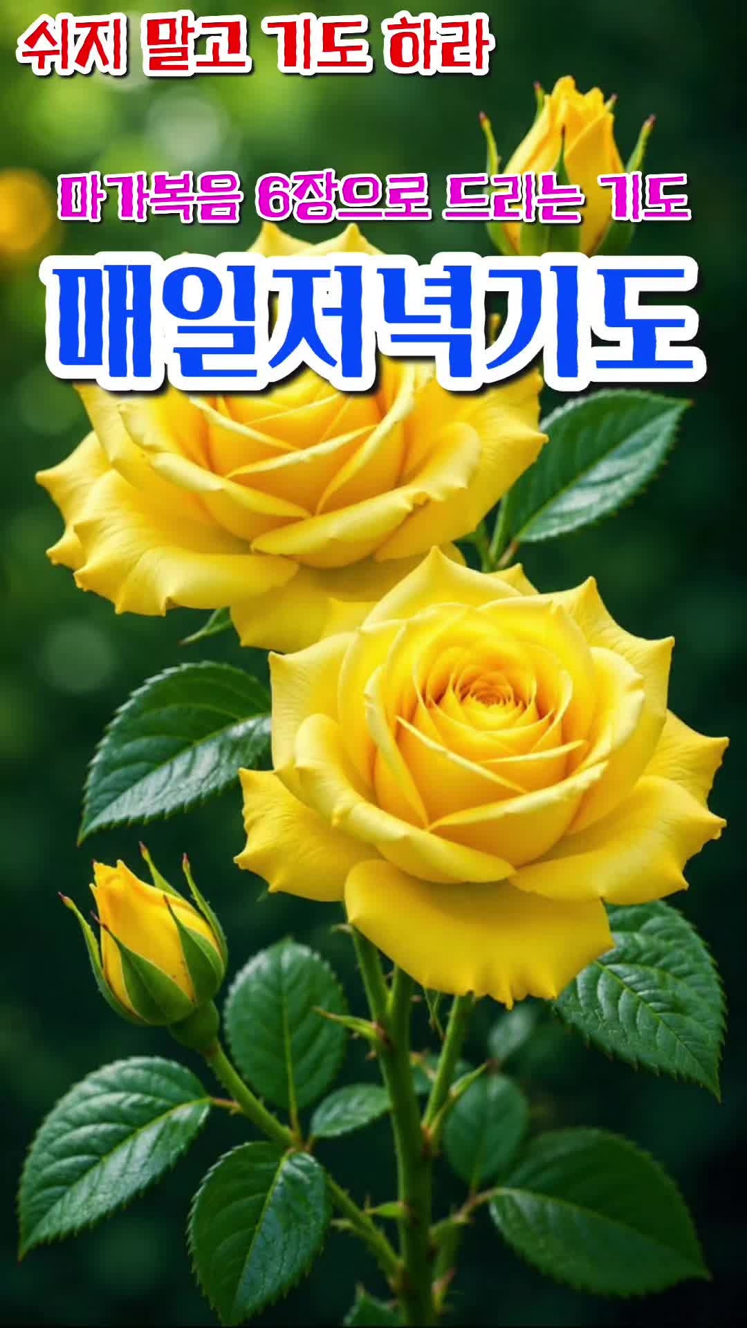 @피켓전도 김종일 목사