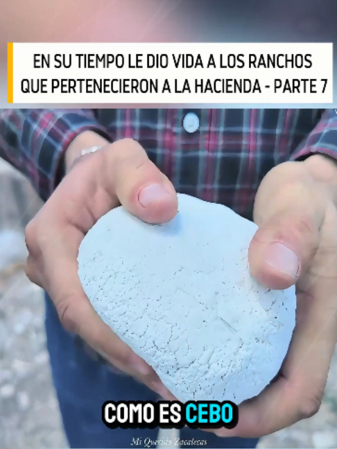 @Videos De Mi Querido Zacatecas