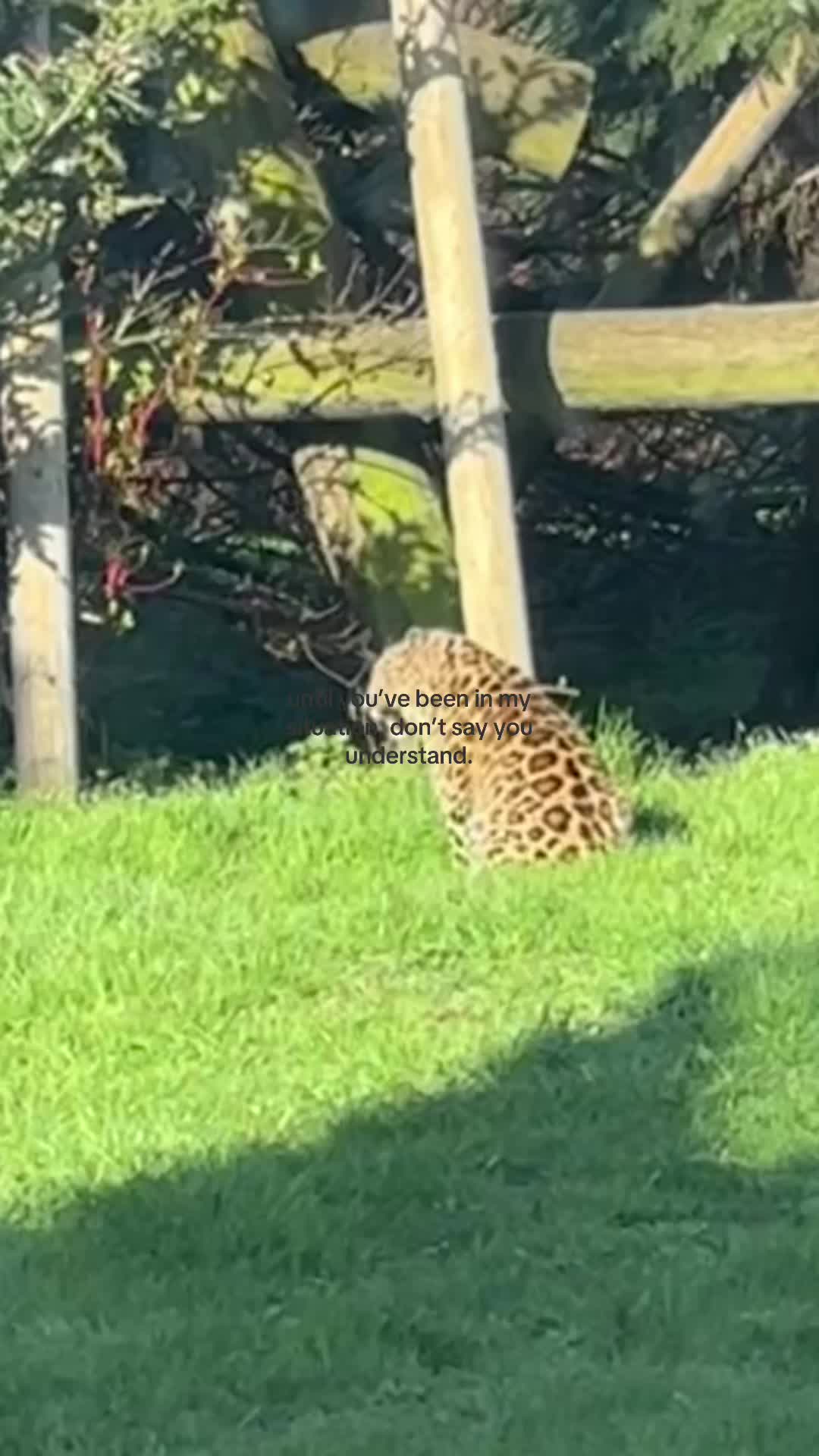 @☹️