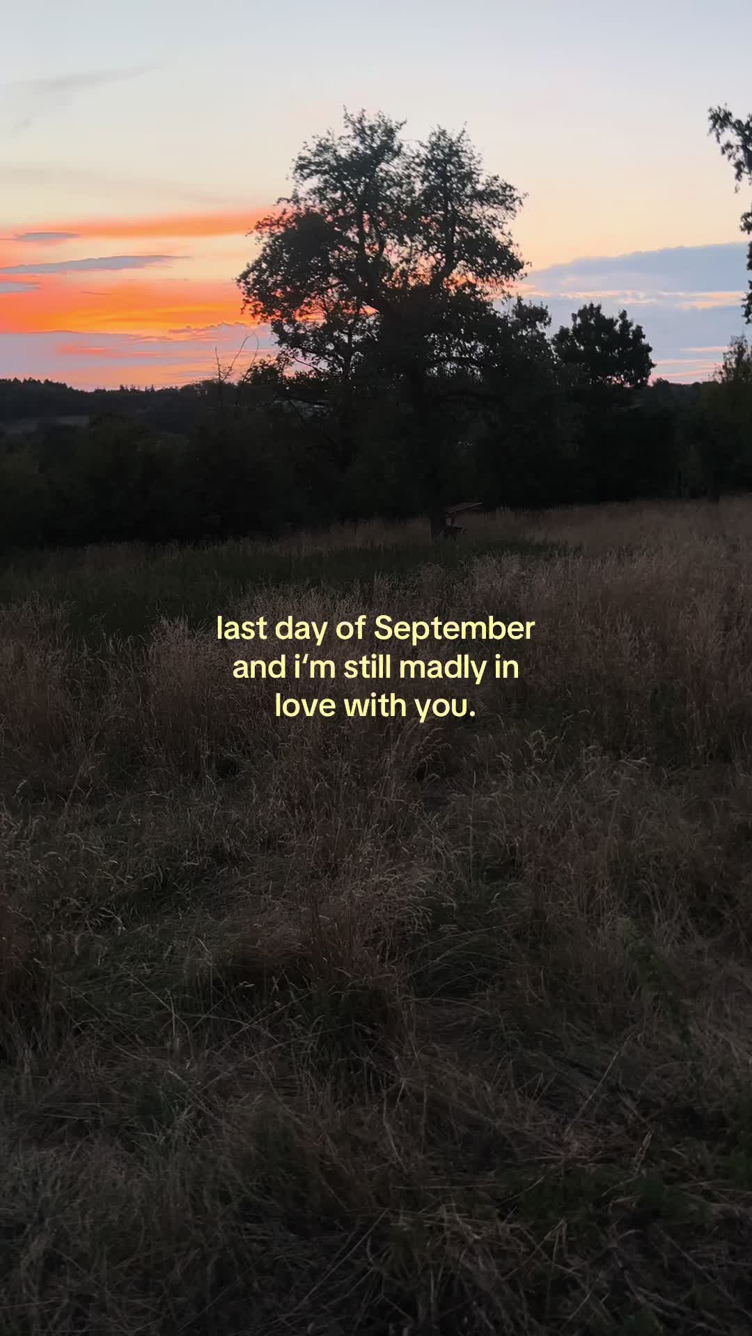 @✧