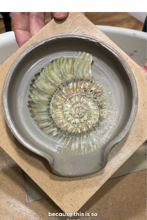 @cleo ceramics