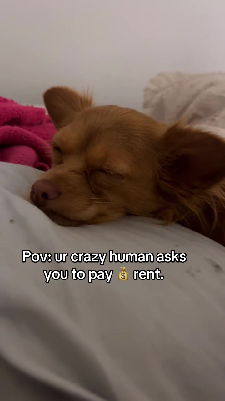 @it&rsquo;s Lady & Lisa