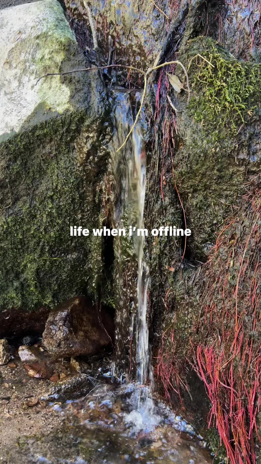 @Iusetobefun