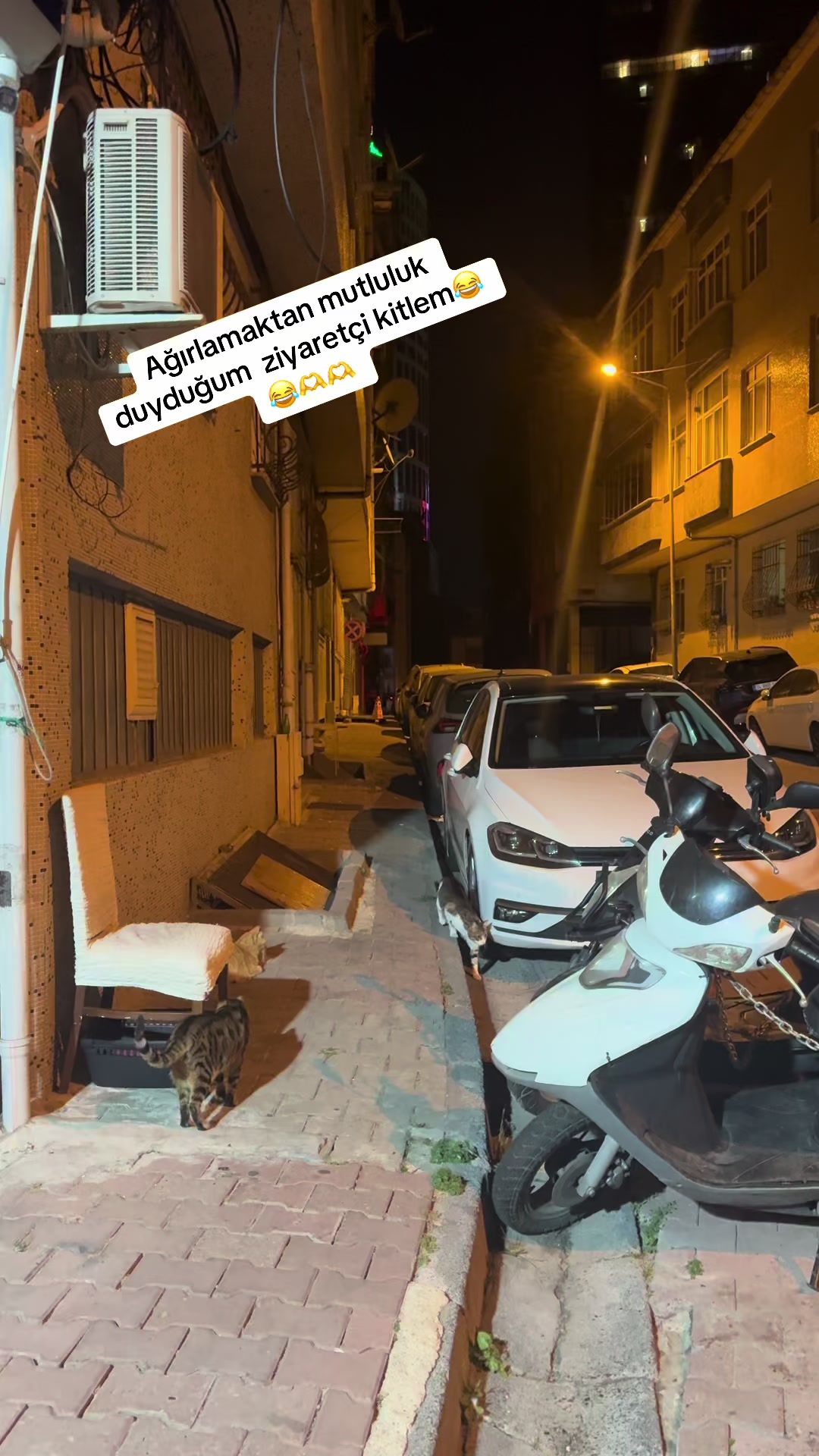 @Emine Yılmaz