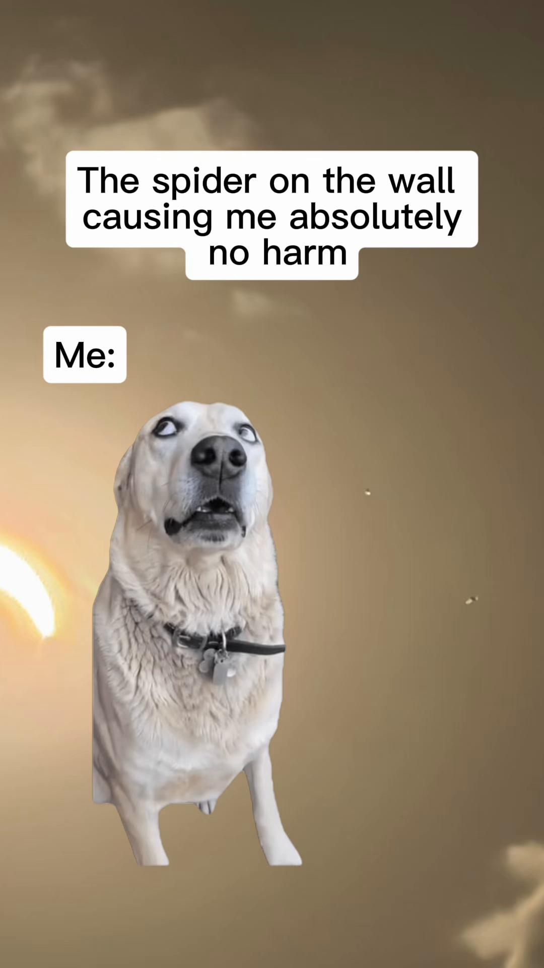 @Danielle Lawrence