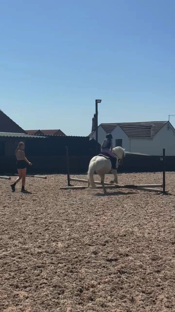 @LottiesHorseAdventures🦄🐴