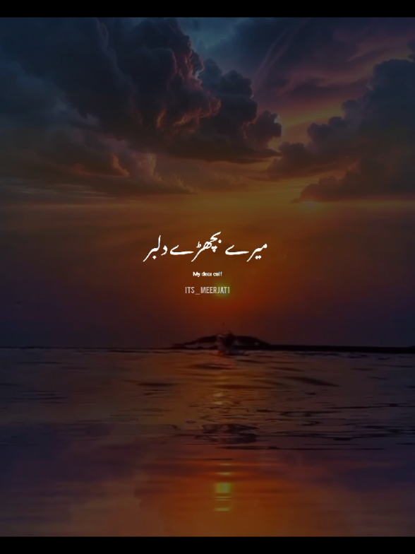 @Its_Meerjat