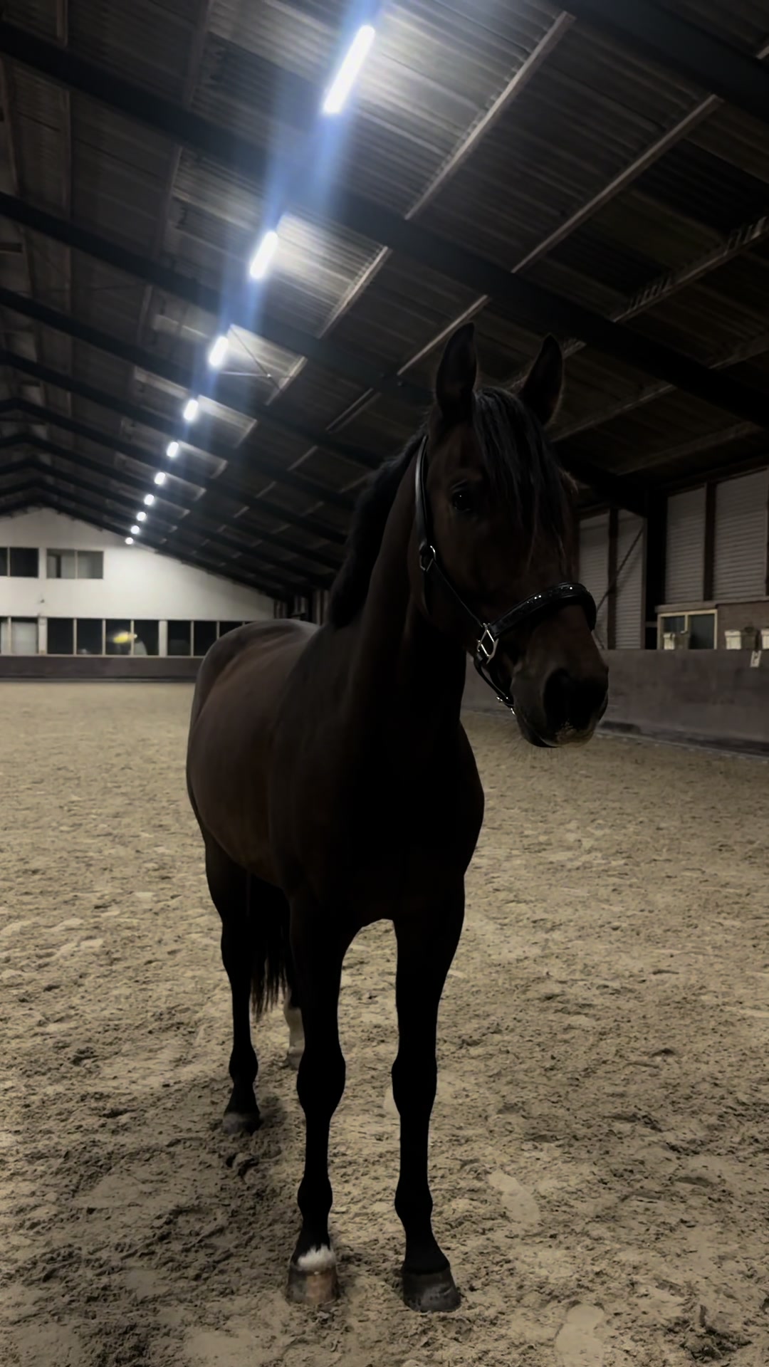 @𝐒𝐢𝐞𝐧𝐧𝐚 𝐓𝐨𝐥𝐤 🇳🇱