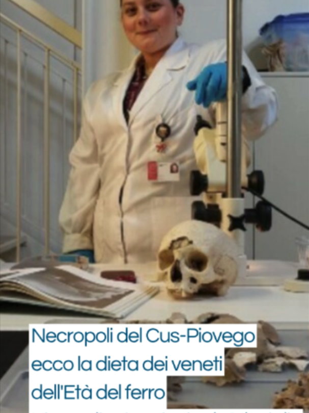 @Il Gazzettino
