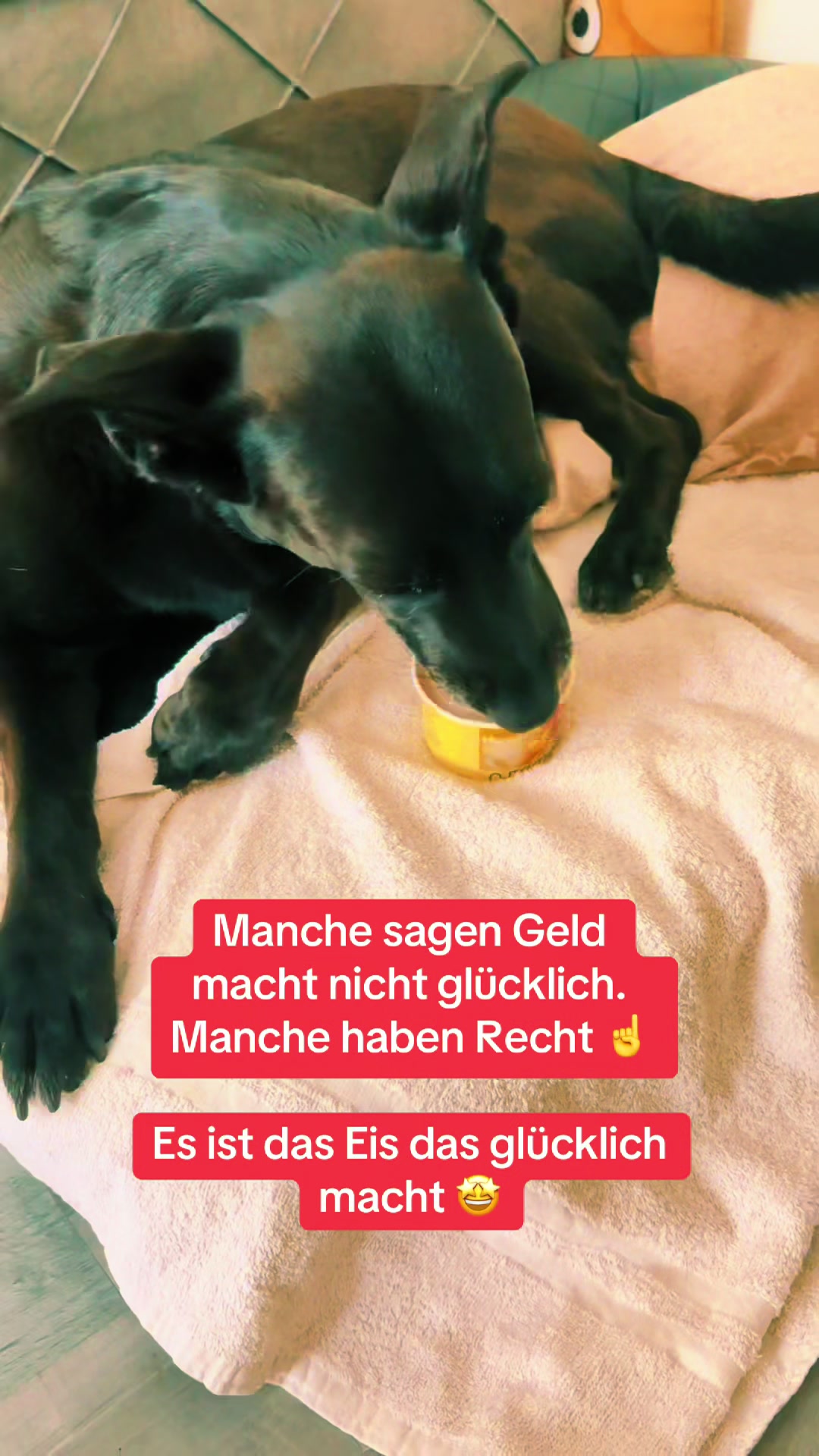@BLACKY 🐶🐾