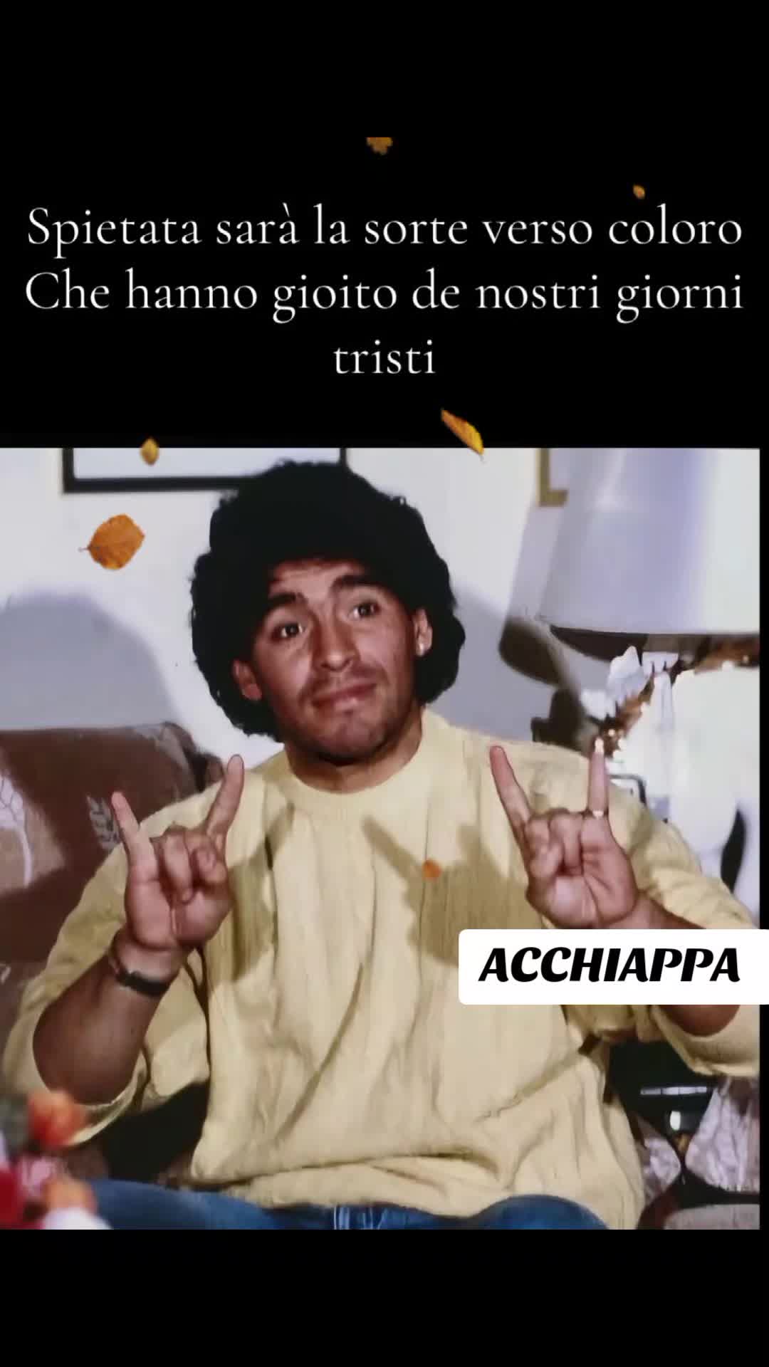 @Delfio Calvagna โ๐โ