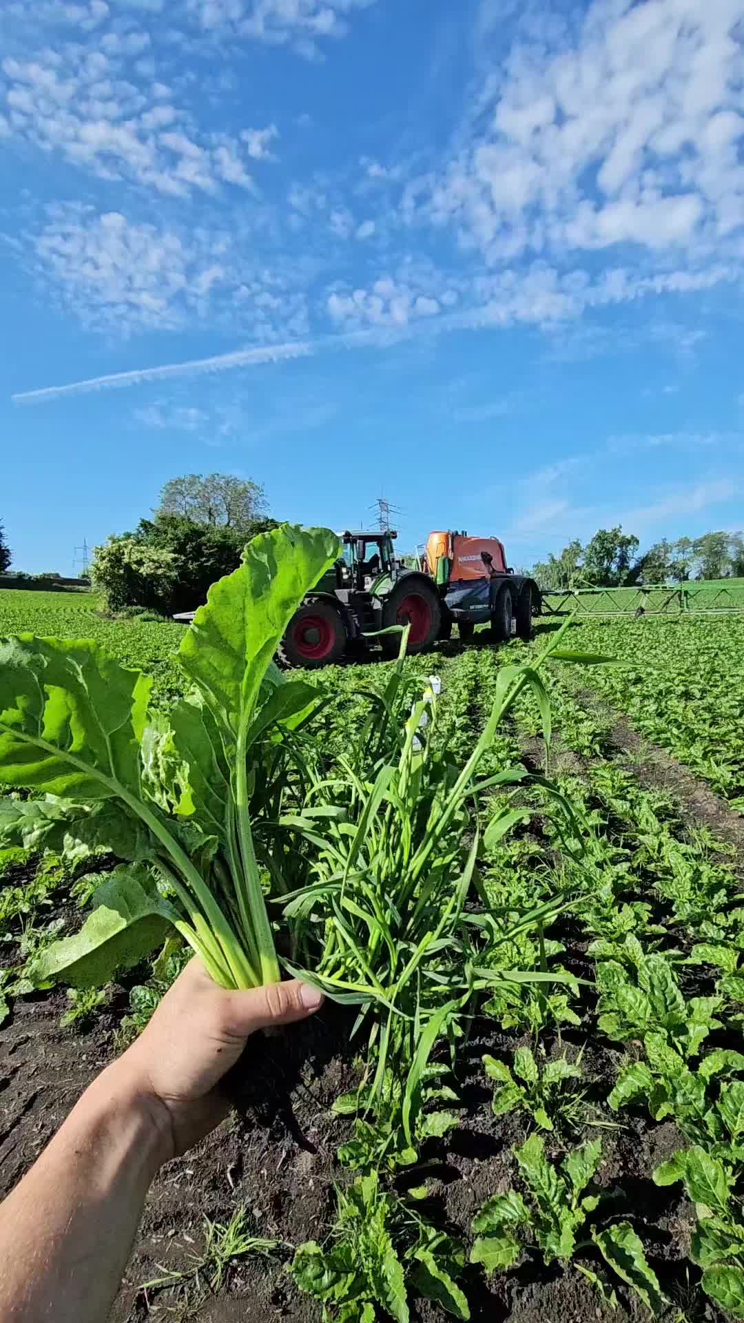 @Karmer Farmer