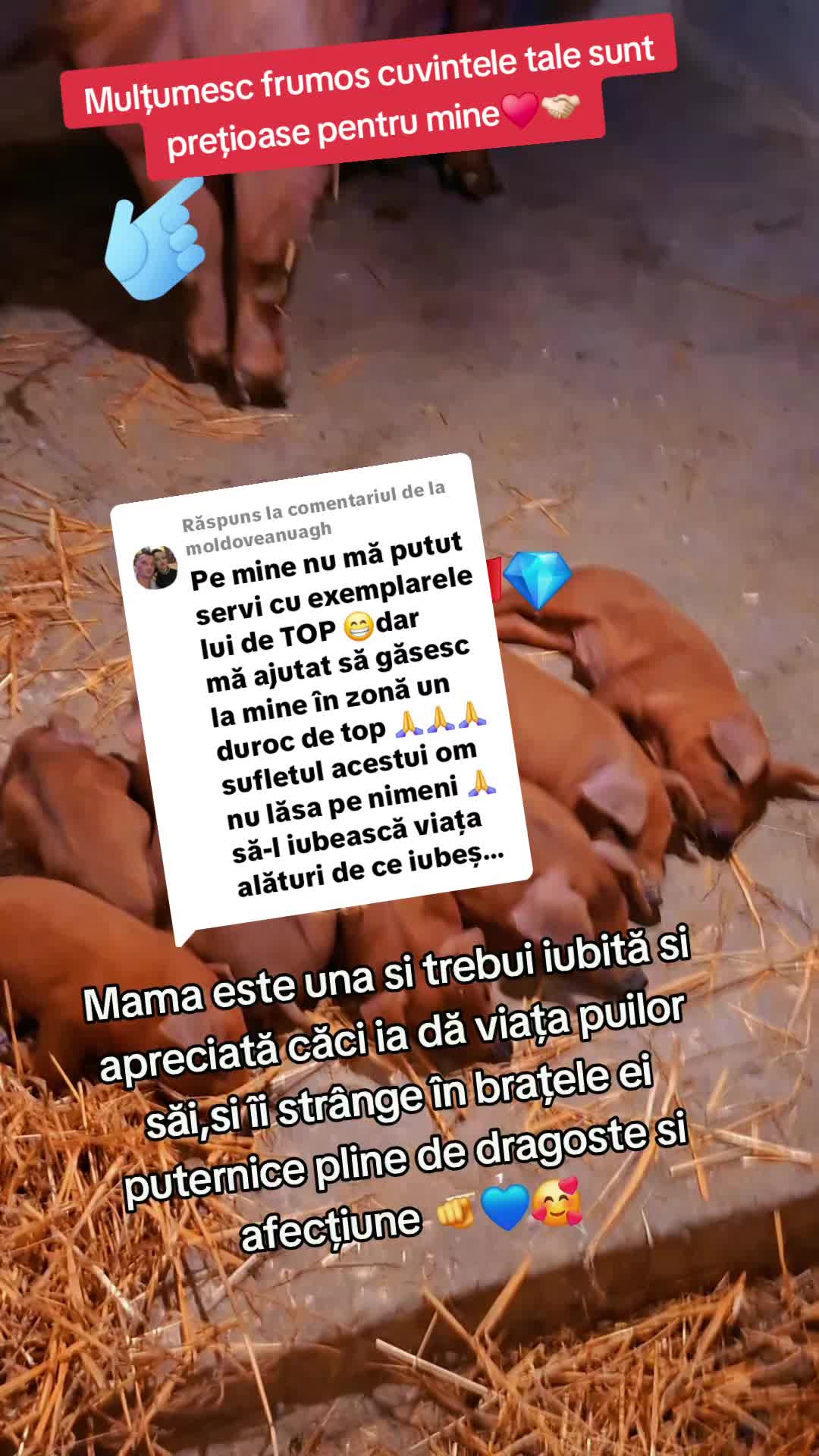 @💎🇷🇴Săndel Olteanul 🇷🇴💎