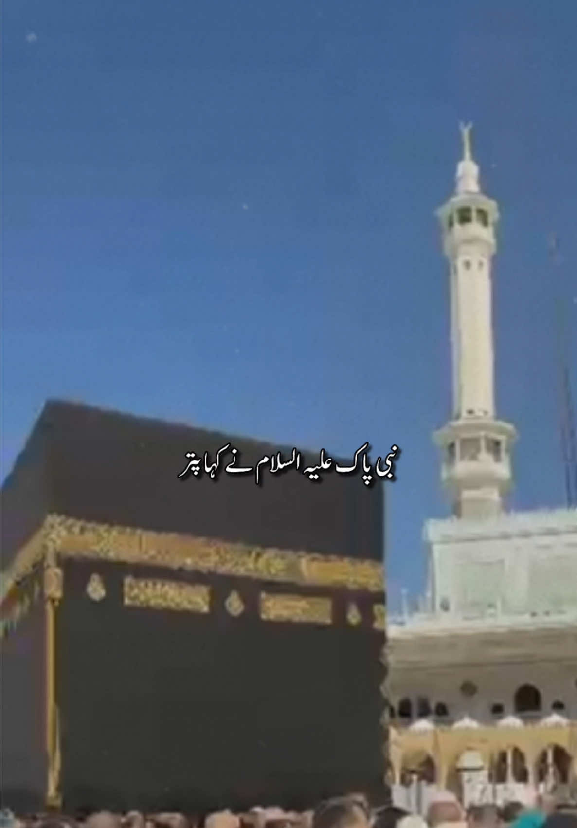 @Dr Sana 4696