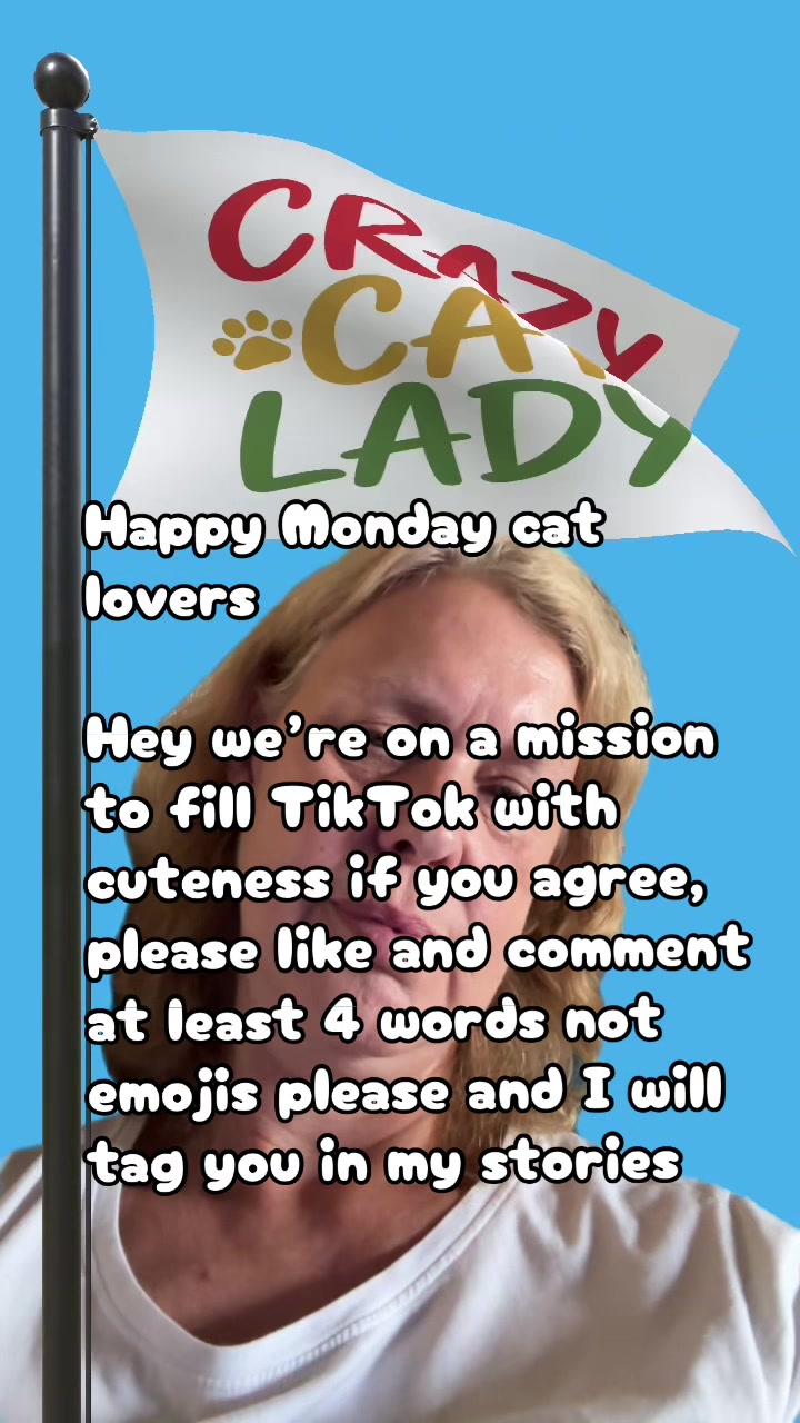 @crazycatladyxfour