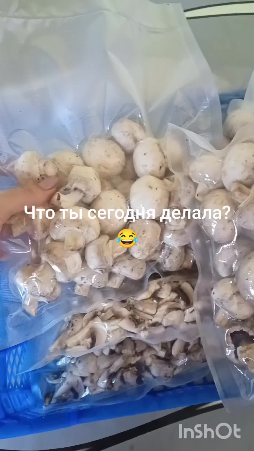 @Ирина Глубокова