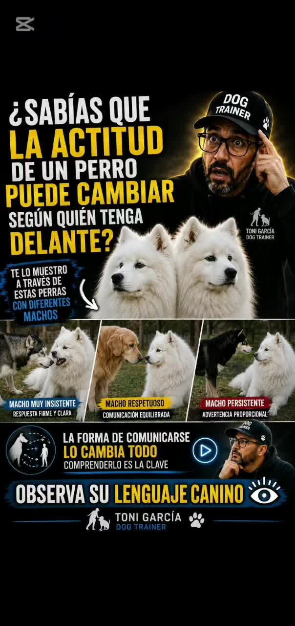 @EDUCADOG.COACHING🐾TONI GARCIA