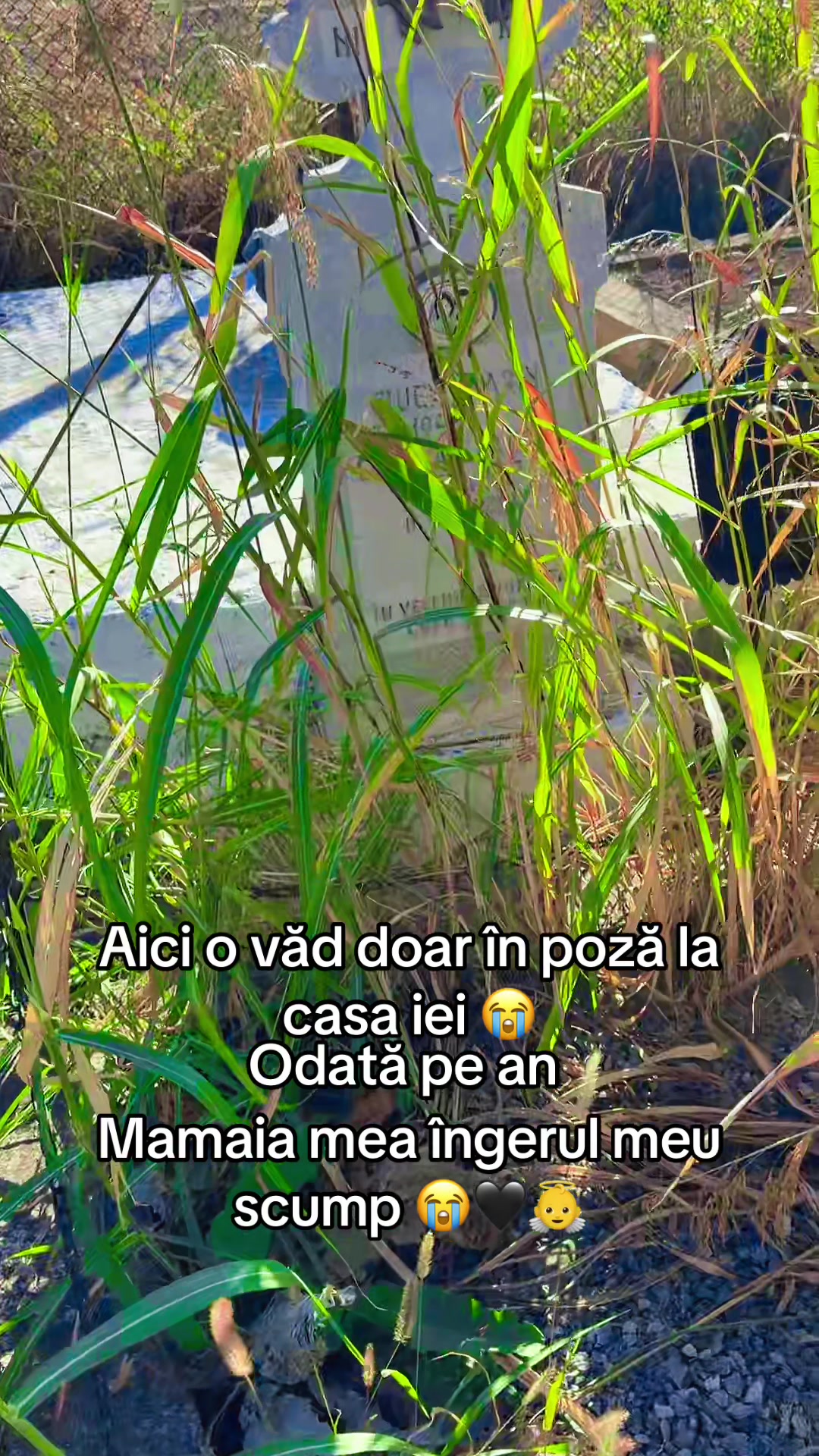 @Ionela